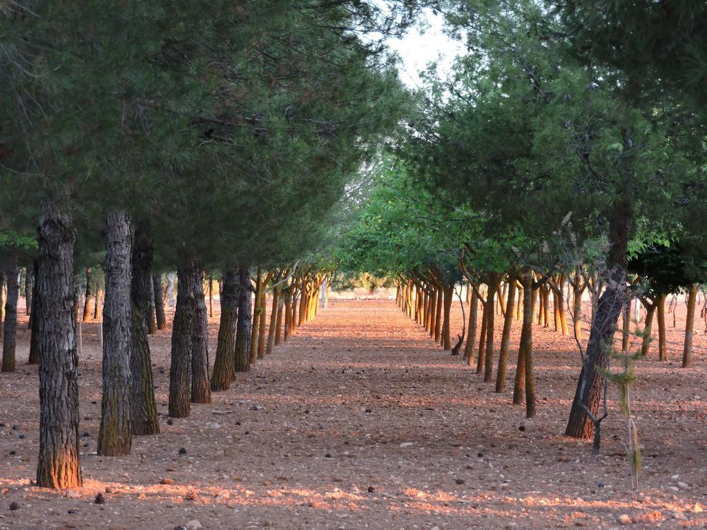 בית הארחה Miguel Esteban 	Casa Rural Santa Ana מראה חיצוני תמונה